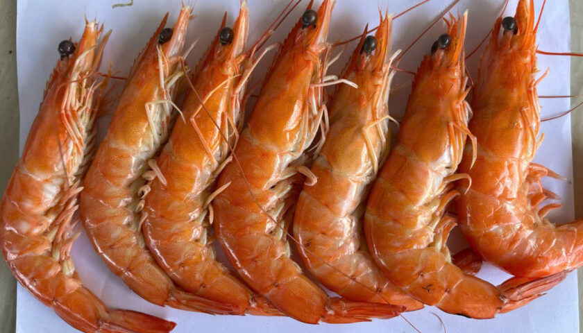 z7516067430866_822243c79efadf5ad37592d48bc13f5d